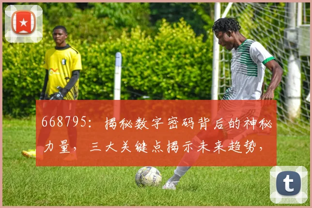 668795：揭秘数字密码背后的神秘力量，三大关键点揭示未来趋势，不容错过