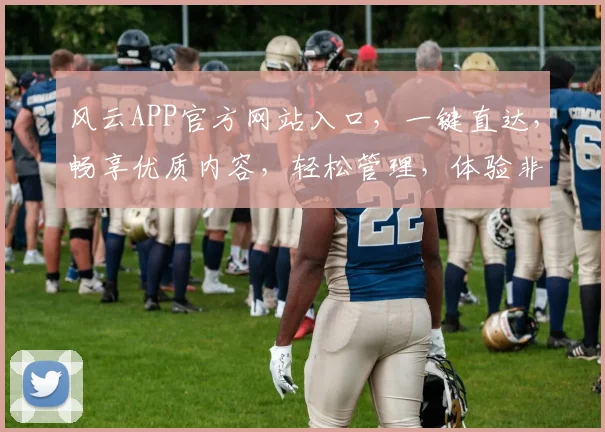 风云APP官方网站入口，一键直达，畅享优质内容，轻松管理，体验非凡