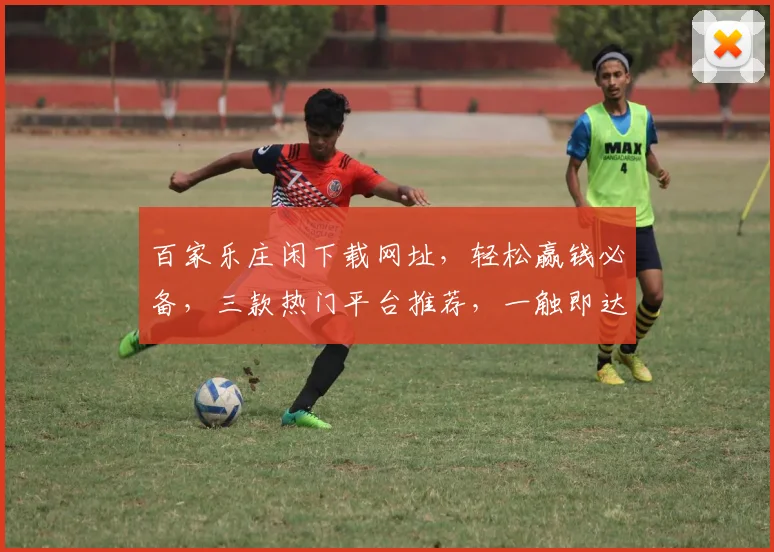 百家乐庄闲下载网址，轻松赢钱必备，三款热门平台推荐，一触即达